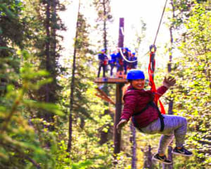 Zipline Tour, 7 Zip Adventure, Denali - 3 Hours