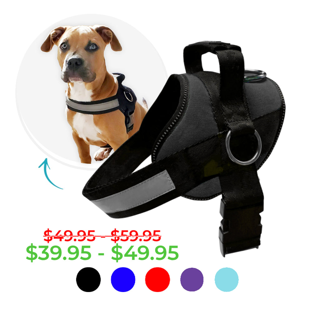 Joyride Basic Essential Dog Harness 1.0+ (Solid Colors)