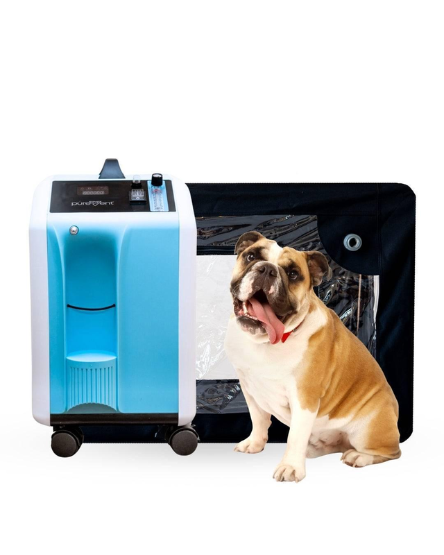 Extended Oxygen Therapy Bundle for Large Pets (Up to 70 lbs) – Continuous Oxygen Support