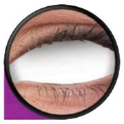 Sweety White Sclera Contacts Blind White (1 lens/pack)