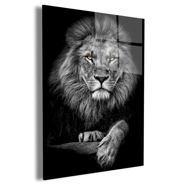 Golden Eyed Lion Wall Art