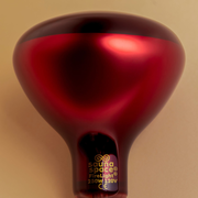FireLight Infrared Bulb
