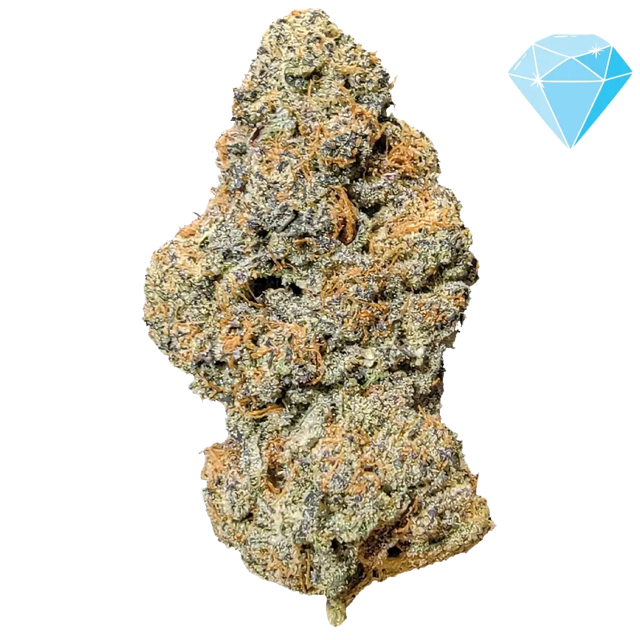 Purple Cream THCA Flower