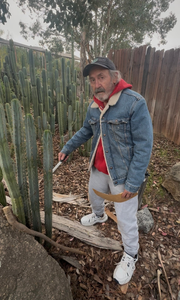 #EC76 EXACT Trichocereus Bridgesii JIIMZ Cactus Cutting includes A Personal Video 15”+