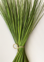Green Dried Fountain Grass - 48-54"