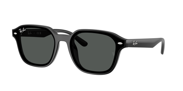 Ray-Ban 0RB4458D