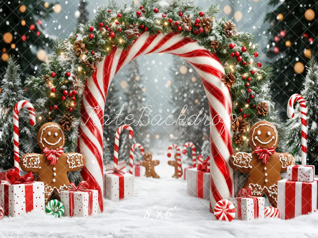 Kate Christmas Candy Cane Arch Gingerbread Snow Backdrop Designed by Emetselch