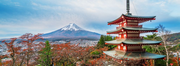 Book Japan Rail Passes From EUR 83 | Fast & Secure