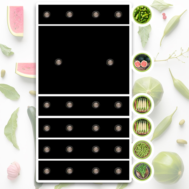 Summer Southern Comforts Raised Bed Seedsheet