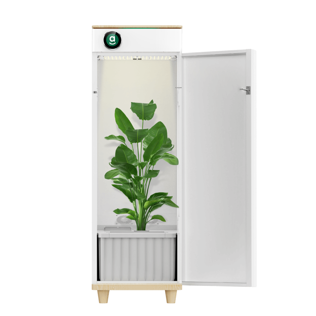 Hey abby Automated Grow Box 420 Edition