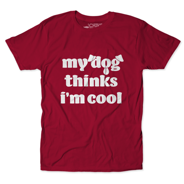 My Dog Thinks I'm Cool V2