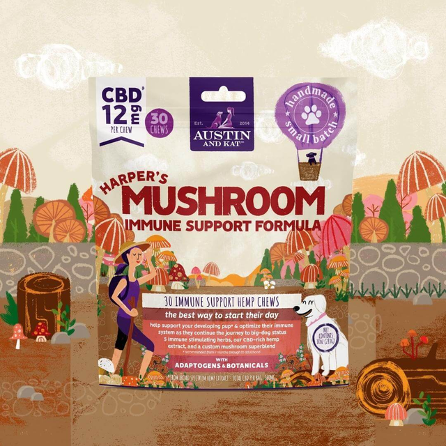 Mushroom Immunity+ Chew