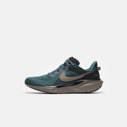 Air Zoom Pegasus 41 SP Sneaker in Faded Spruce/Olive Grey/Black