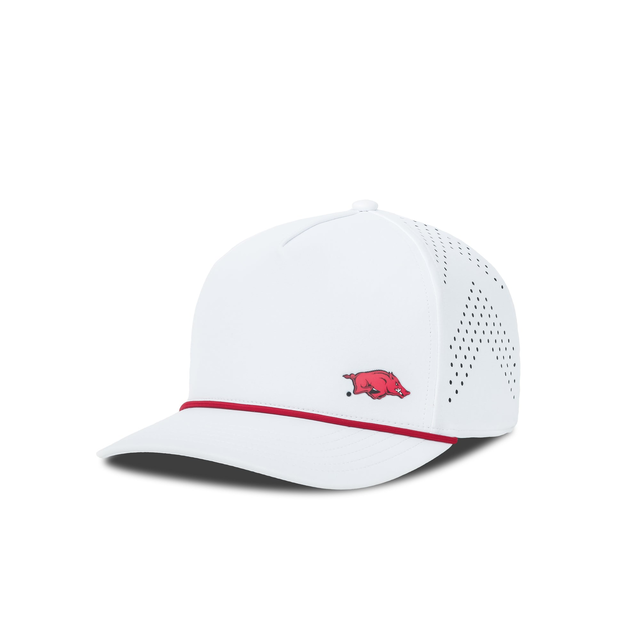 University of Arkansas: Apex Hat Arctic Snow