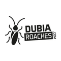 Dubia Roaches logo