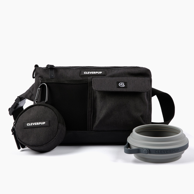 Dog Walk & Train Bundle