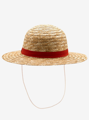 One Piece Straw Hat