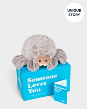 Stella the Spider 🕷️