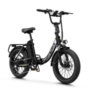 Aipas®A4 Gentry Ebike