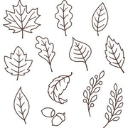 Fall Leaves