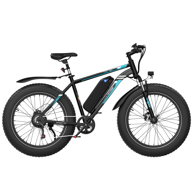 BK15 4.0 Fat Tire Electric Bike