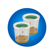 Two Cups of Caterpillars™