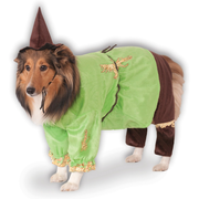 Rubie's Costume Company Wizard of Oz Scarecrow Dog & Cat Costume
