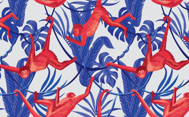 Monkeying Around | Wallpaper