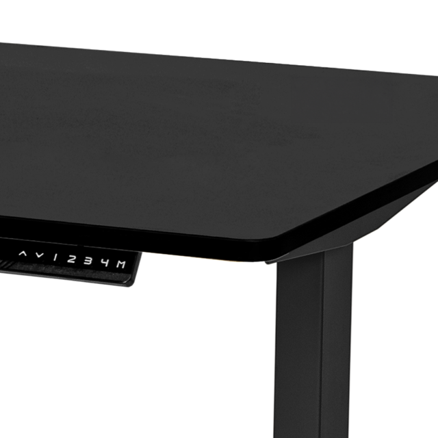 Standing Desk (Worksurface)