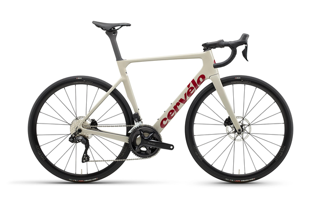 Soloist 105 Di2 (2025)