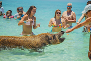 Guided All Inclusive Beach Day Excursion in Bahamas 