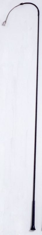 Tough1 Schooling Whip