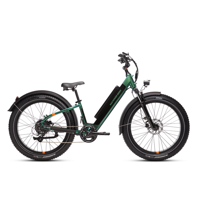 RadRover™ 6 Plus Electric Fat Tire Bike