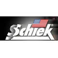 Schiek logo