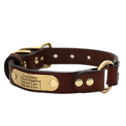 Personalized Hunting Dog Collar