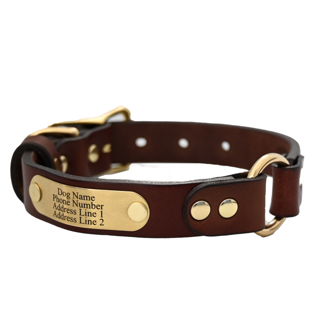 Personalized Hunting Dog Collar