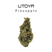 Utoya | THC-A Flower 3.5g - 114g