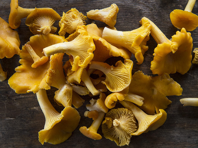 Wild Copper River Sockeye Salmon