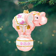 Balancing Baby Girl Personalized - FEBRUARY DELIVERY