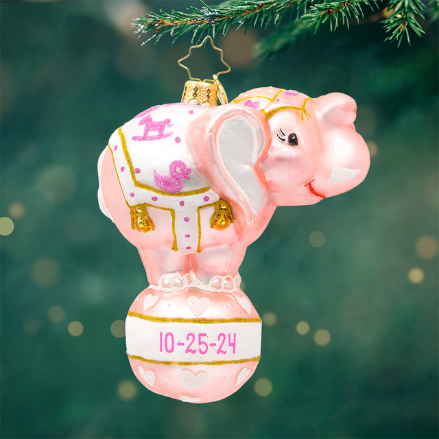 Balancing Baby Girl Personalized - FEBRUARY DELIVERY