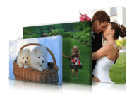 Photo Canvas Prints