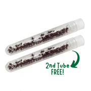 Buy a Tube of Live Ants, Get a 2nd Tube FREE