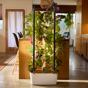 Gardyn 4.0: Hydroponic Indoor Garden System, Growing Vegetables, Herbs & Flowers