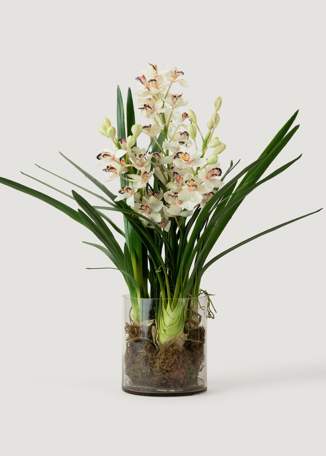 SALE - Cymbidium Orchid Potted Fake Plant in Glass Vase - 36"