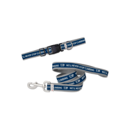 Dog Collar + Leash Set