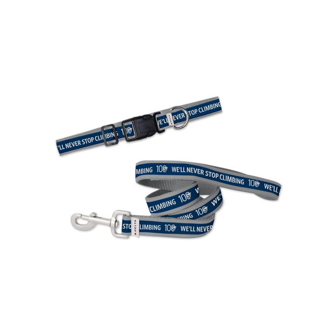 Dog Collar + Leash Set