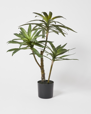 Yucca Triple Artificial Plant