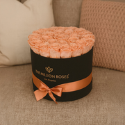 Supreme Black Box | Peach Roses