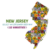 New Jersey Select Wildflower Seed Mix