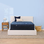 Serta Perfect Sleeper Euphoric Nights Firm 14" Mattress